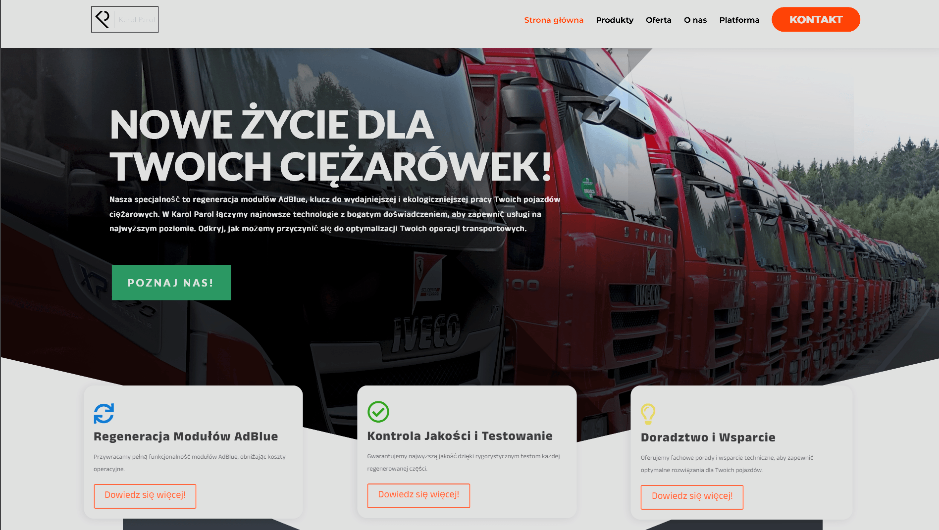 Preview of the Karol Parol website project